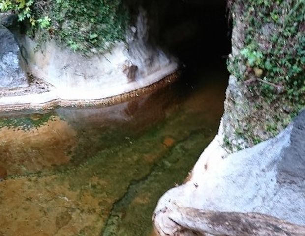 大洞窟の宿 湯楽亭