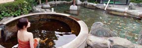 「相模・下九沢温泉 湯楽の里」の推しは露天風呂で楽しむかけ流しの温泉と広いサウナ、そして自家製チキン南蛮！