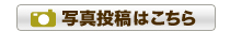 �ʐ^���e�͂�����
