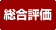 総合評価