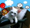 �q�}�W��