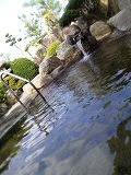 �C�y�Ɋ��闧����蓒