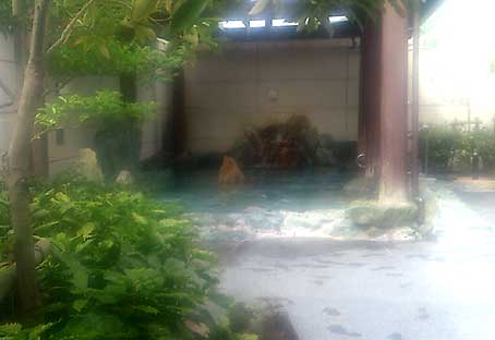 亀ヶ池温泉