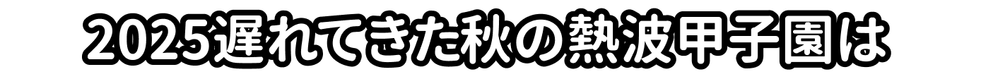 2025遅れてきた秋の熱波甲子園は