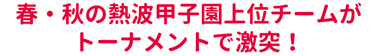 春・秋の熱波甲子園上位チームがトーナメントで激突！