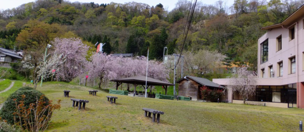 クーポンあり おまき温泉スパガーデン和園 砺波 ニフティ温泉
