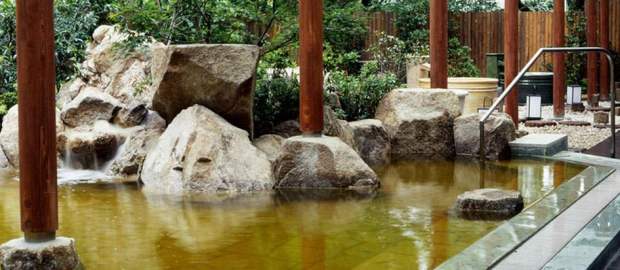 豊島園 庭 の 湯