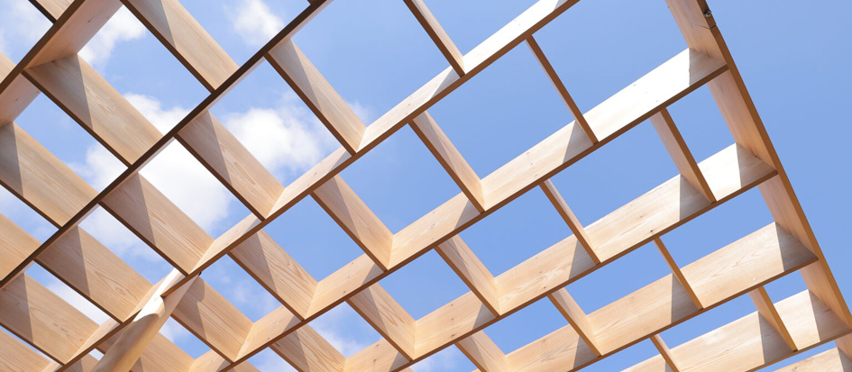 トップメイン画像4