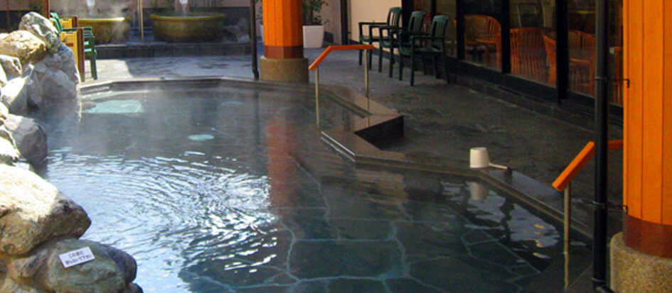 癒しの里 伊賀の湯