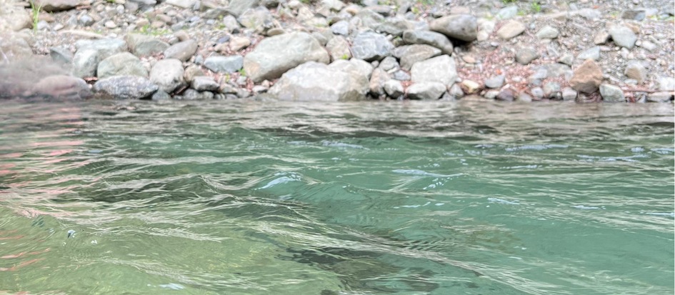 トップメイン画像2