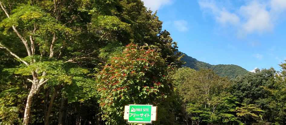 トップメイン画像4