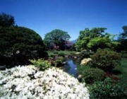 藤島旅館