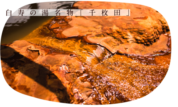 おふろcafe'白寿の湯（おふろカフェ はくじゅのゆ）