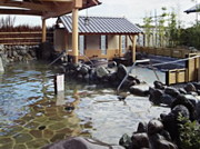 天然温泉 楽天地スパ（旧 楽天地グランドサウナ）