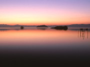 浜湖月（はまこげつ）