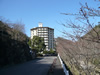 Shionoe Onsen Shinkabakawakankou Hotel