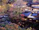 瀬の本館 夢龍胆