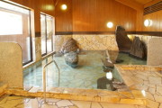 平山温泉 元湯（旧平山温泉センター）