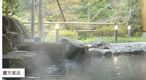 http://www.yasumiishi.net/hot-spring.html