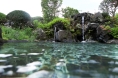 飯山温泉 湯宿 美登利園