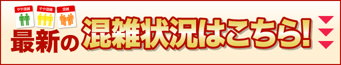 クーポンあり よしかわ天然温泉ゆあみ 越谷 ニフティ温泉