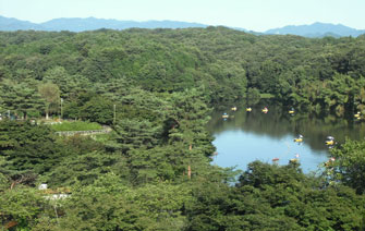 暑さが吹き飛ぶクールなイベント盛りだくさん！ 夏休みは冷涼な日帰り温泉へ
