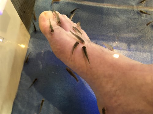 どこか懐かしい景色と温泉で心も体も癒される「酒々井温泉 湯楽の里(ゆらのさと）」