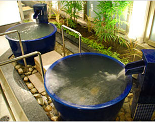 『天然温泉 ひなたの湯　入館料とビールセットでお得クーポン』