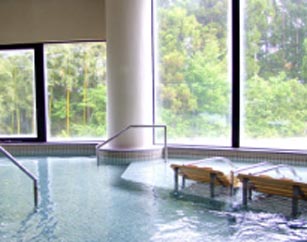 『天然温泉 スパ泉ヶ岳　入館料100円引きクーポン！』