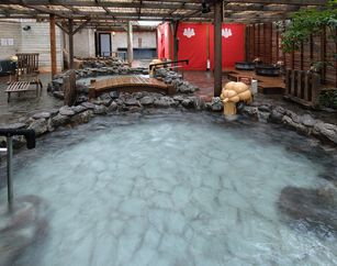 【梅】有馬温泉 太閤の湯（11/末まで限定）大人入館料475円引きクーポン！