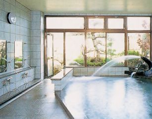 『はやぶさ温泉』人気の飲める温泉水ペットボトル500ml プレゼント