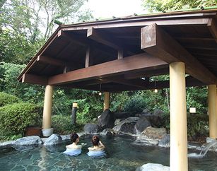 『立ち寄り温泉　伊豆高原の湯』大人入館料＋販売タオル＋レンタルバスタオル200円引き