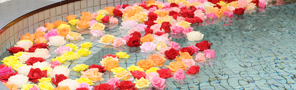 スーパー銭湯テルメ山形 山形 ニフティ温泉