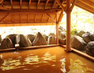 苗場温泉 雪ささの湯
