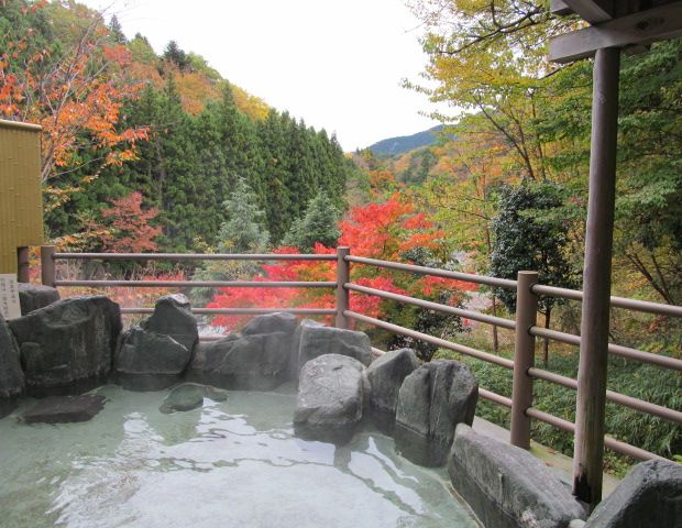 道志川温泉紅椿の湯（どうしがわおんせんべにつばきのゆ）