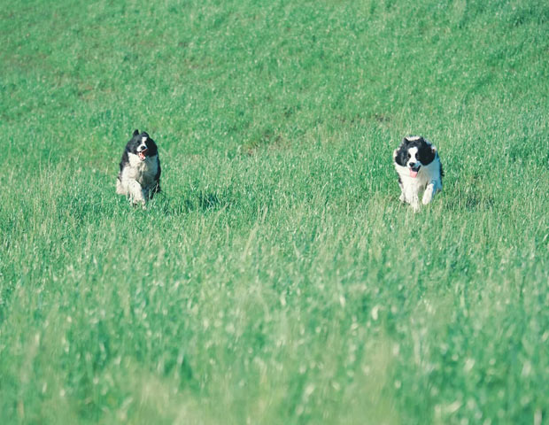 NU:KUJU（ヌークジュー）ヌクヌクノ湯(旧九重やまなみ牧場まきばの温泉館)