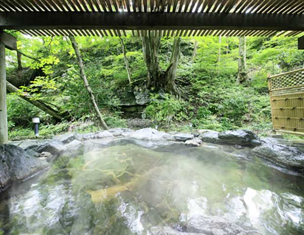 ゆとりろ那須塩原 旧 紀州鉄道 那須塩原ホテル 塩原 ニフティ温泉