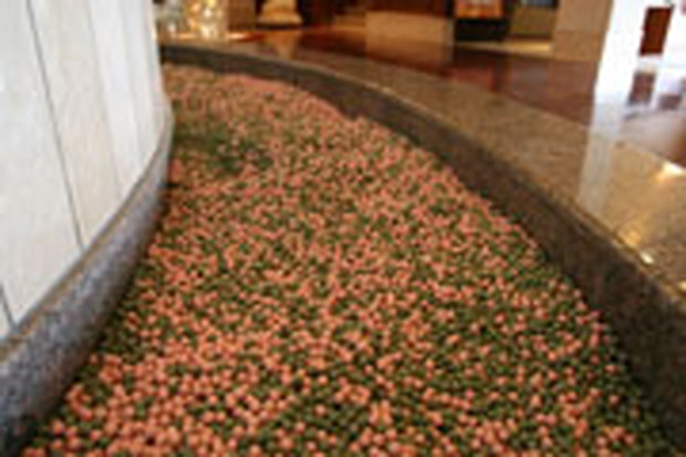 堺浜楽天温泉 祥福（閉館しました）