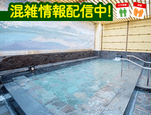 新宿天然温泉 テルマー湯
