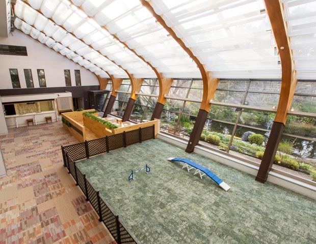 伊豆高原わんわんパラダイスホテル＆コテージ(旧ホテルアンビエント伊豆高原)