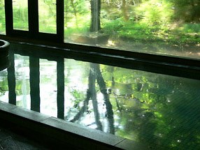 森の絶景露天風呂 熱海 森の温泉ホテル 熱海 ニフティ温泉