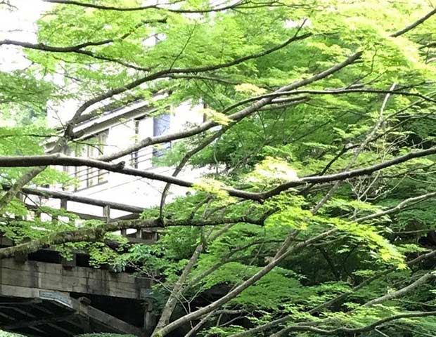 ポイントバケーション加賀山中