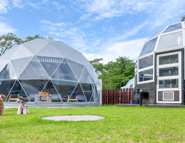 GLAMHIDE WITH DOG KOMATSU