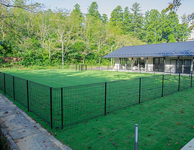 GLAMHIDE WITH DOG KOMATSU