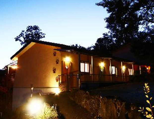 ペットと泊まれる温泉宿　サニーのあしあと