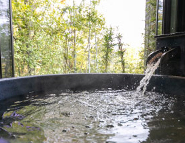 いろりの湯宿 別邸 藤屋