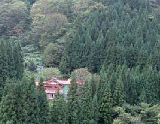 山房 もっきりや