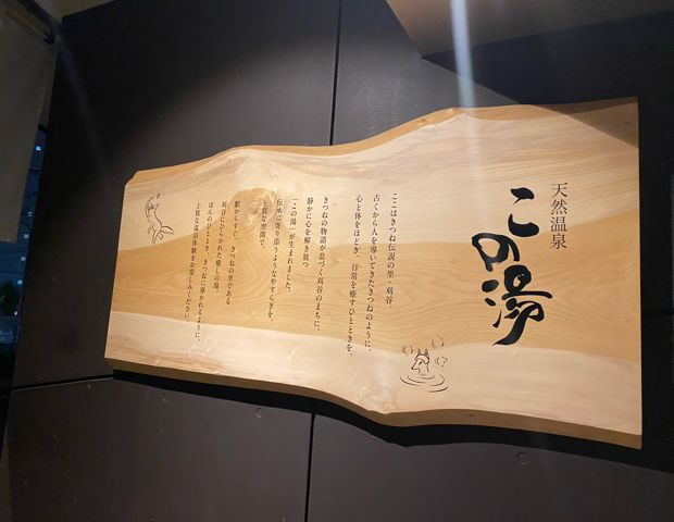 天然温泉 この湯