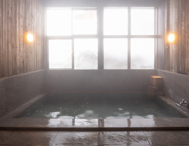 松之山温泉 Ponshu Hotel 睡夢