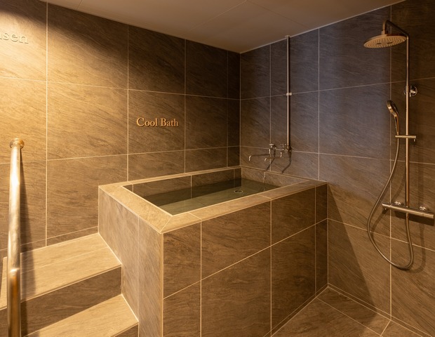 松之山温泉 Ponshu Hotel 睡夢